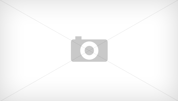 Дождеватель Fiskars 1023662 осциллирующий черный/оранжевый